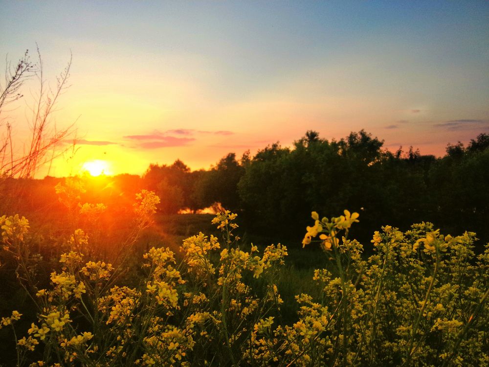 Photograph by Евгений Сергеев