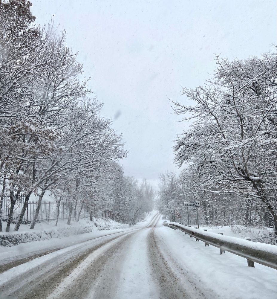 Photograph by Дарья Маркова