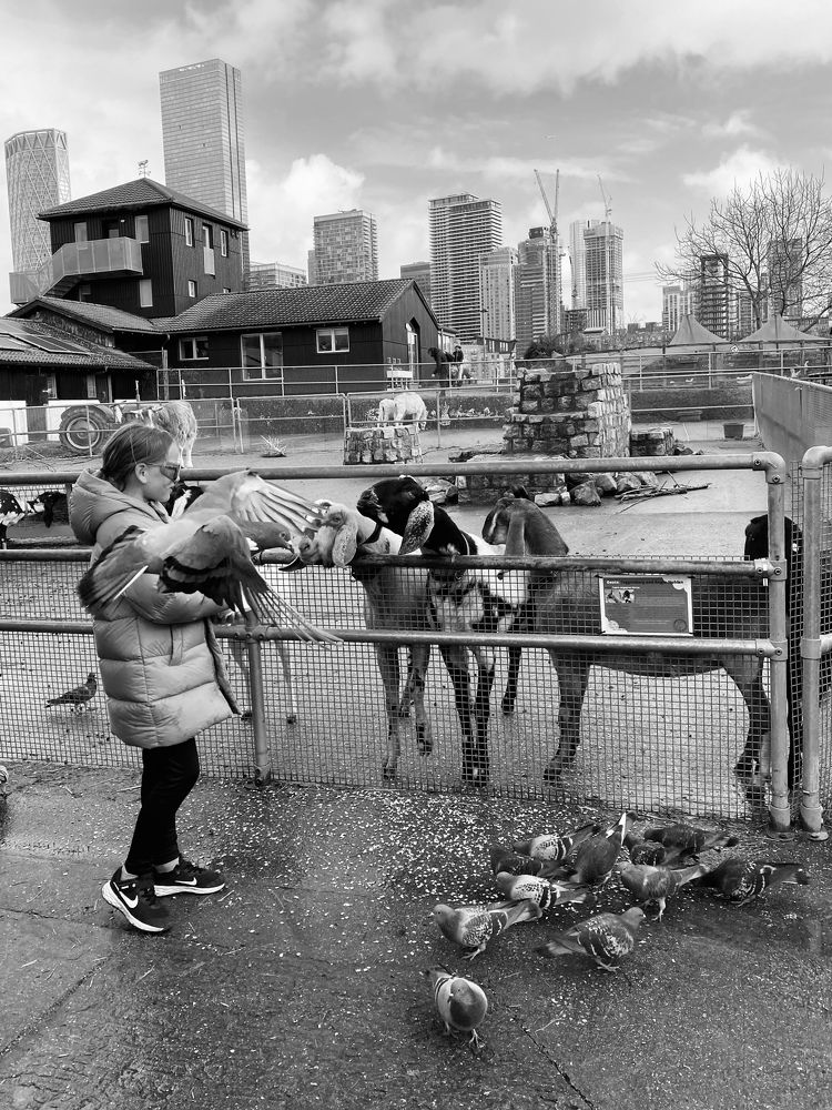 Photograph by Светлана Ионова