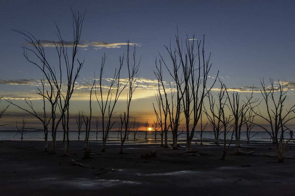 Photograph by Ana Noli