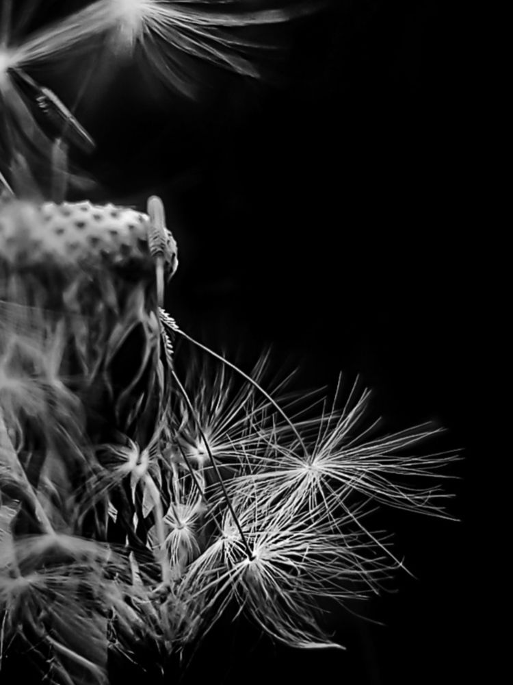 Photograph by Александр Деркач