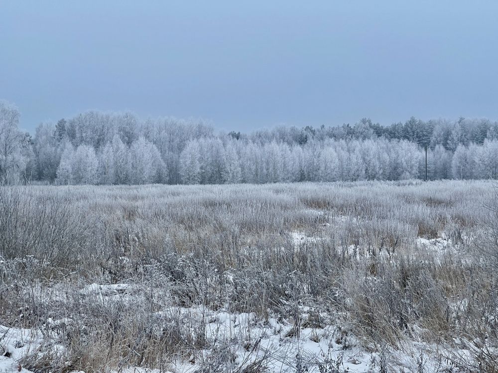 Photograph by Григорий Лыжин