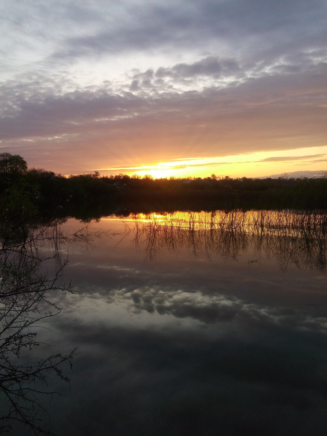 Photo #8618526