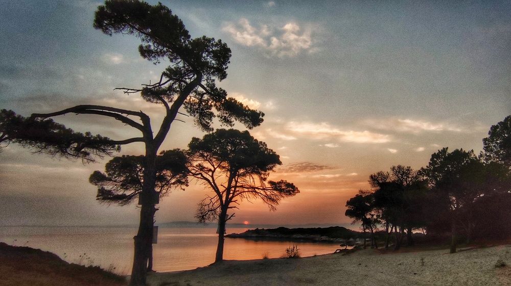 Photograph by Айдын Мехтиев