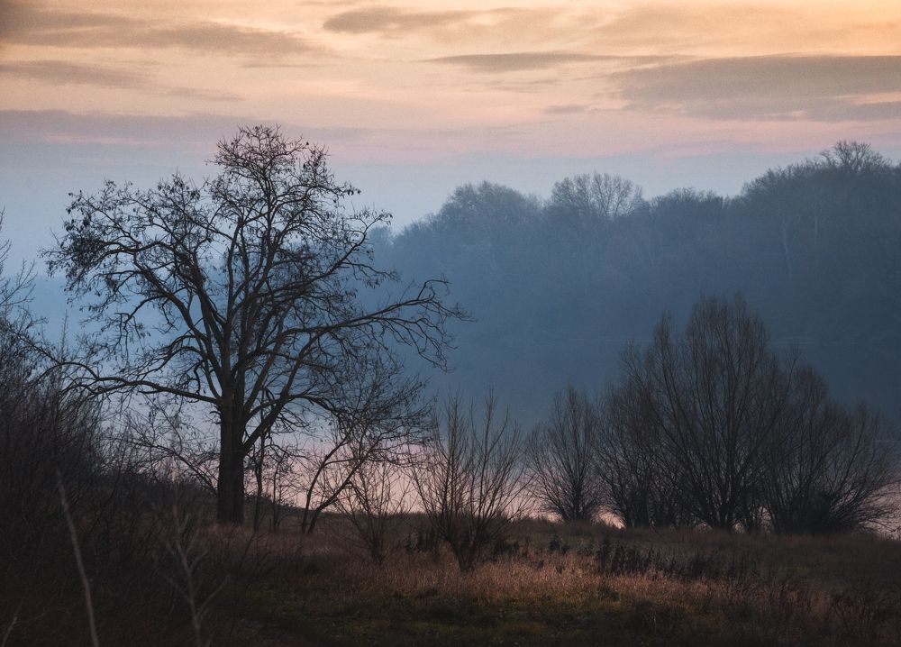 Photograph by Александр Дулогло