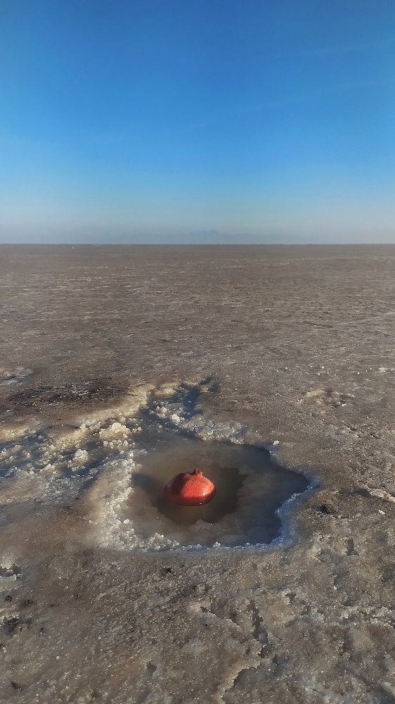 Pomegranate in dessert