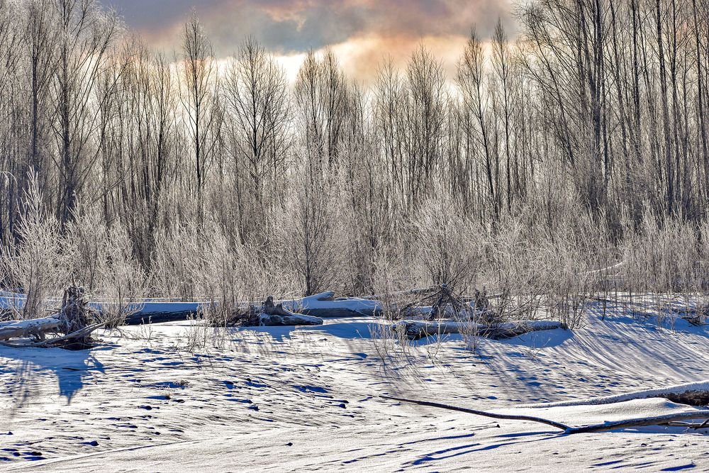 Зимнее утро