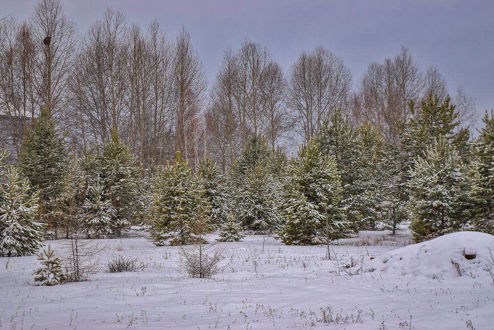 Красота в ноябре
