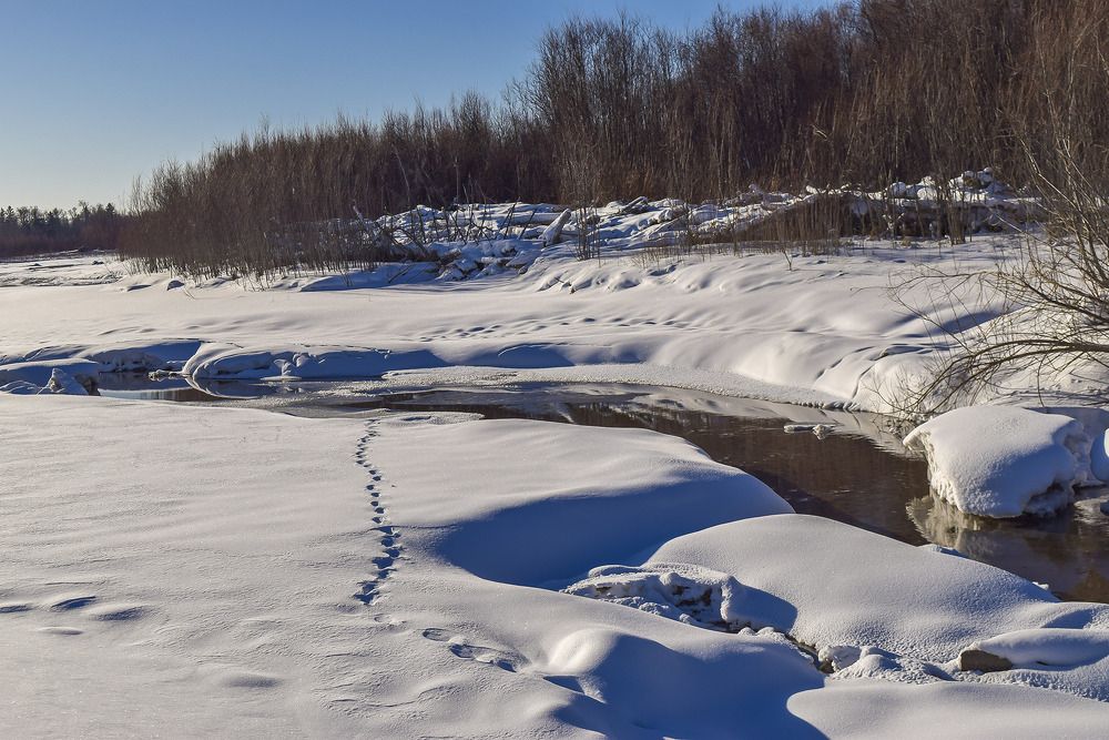 Зимняя природа