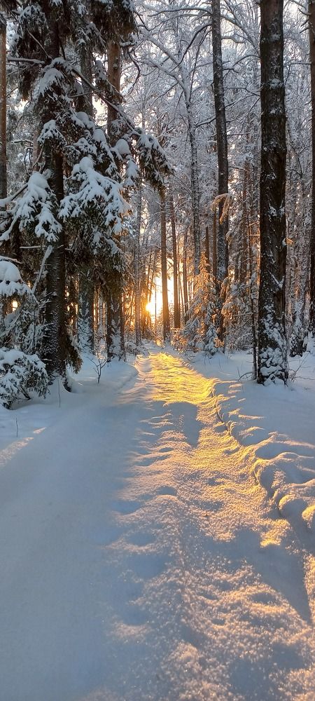 Photograph by Дмитрий Юдин