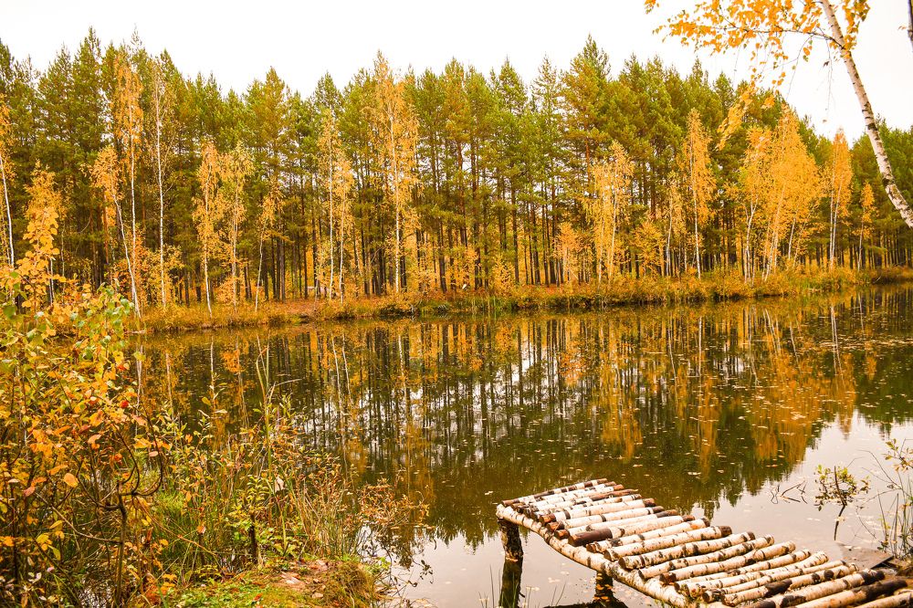 Photograph by Шафиева Ирина