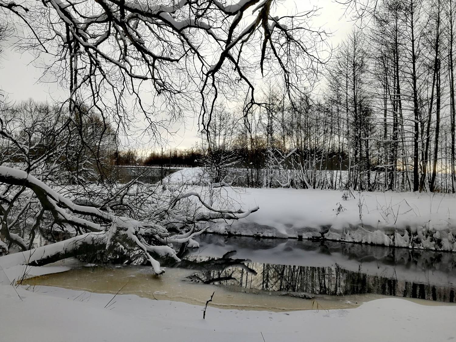 Photo #8618753
