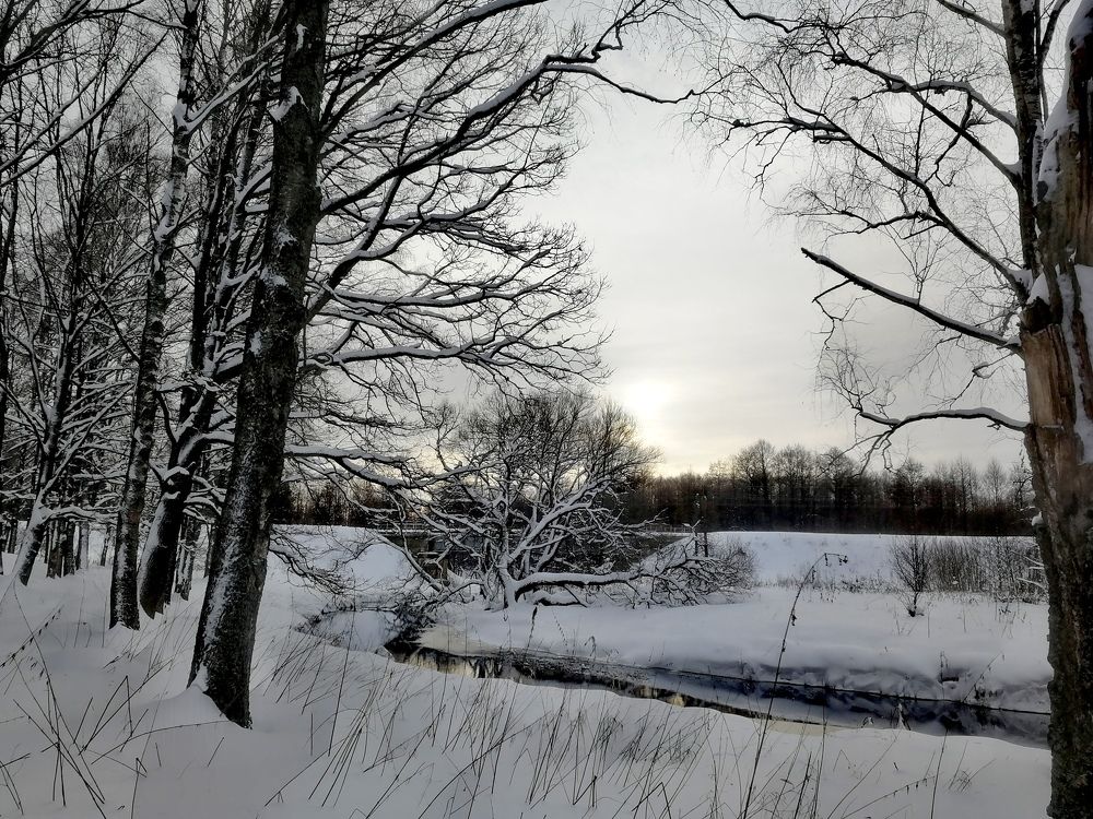 Photograph by Дарья Ермакова