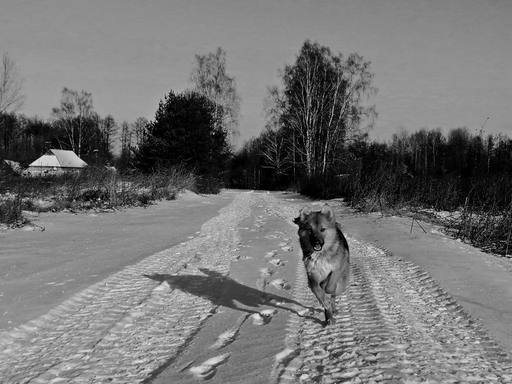 Photograph by Дарья Ермакова
