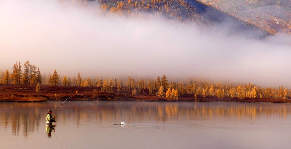 Photograph by Jan Haman