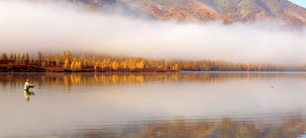 Photograph by Jan Haman