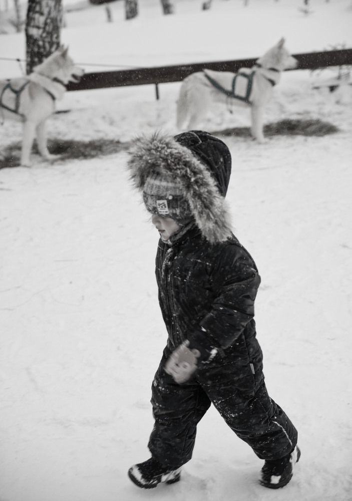 Photograph by Светлана Рыбалко