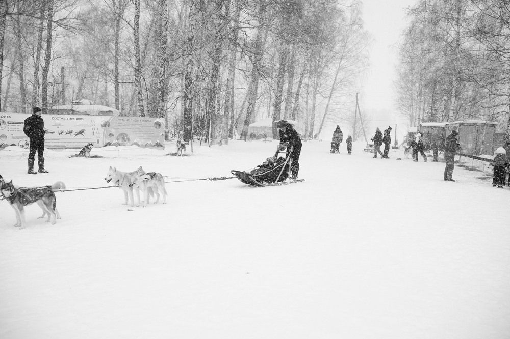 Photograph by Светлана Рыбалко