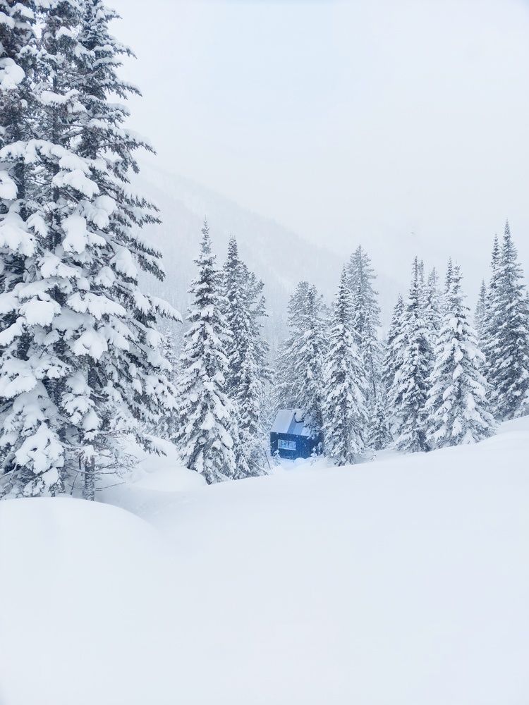 Photograph by Галина Беляева