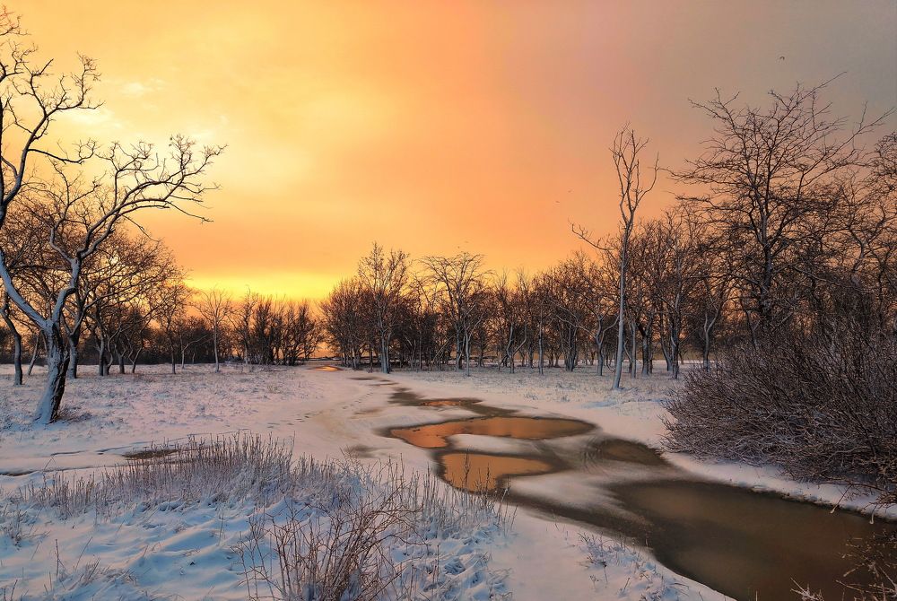 Photograph by Станислав Илюк