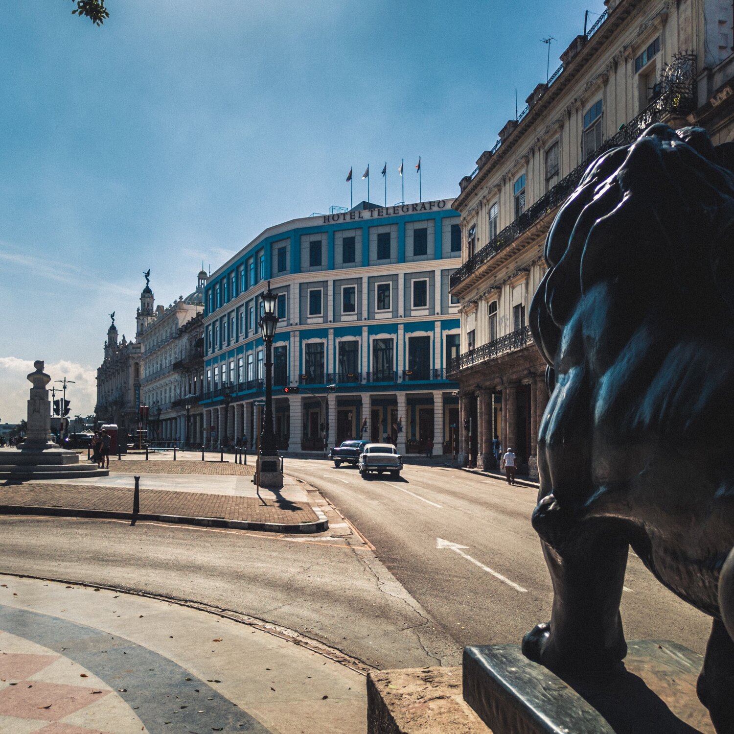 Across the Lion's eyes