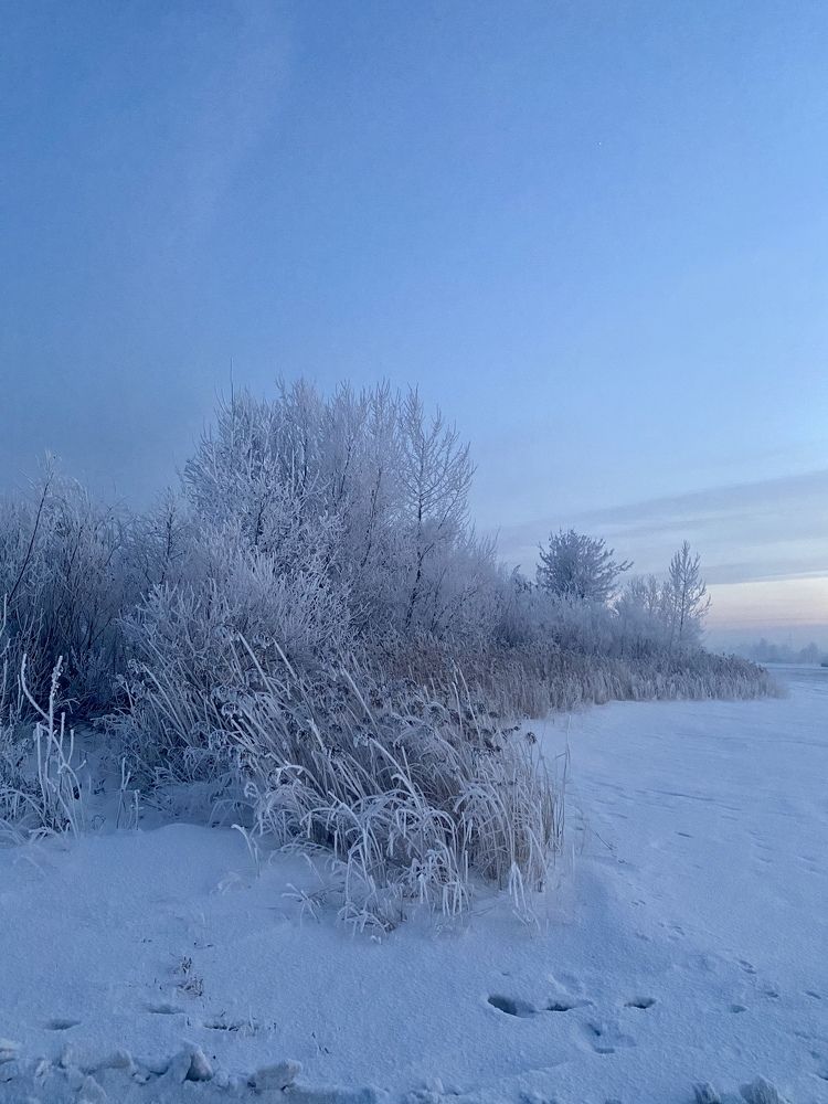 Photograph by Мария Уголькова