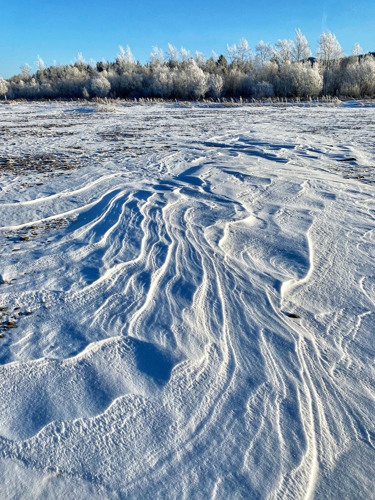 Photograph by Мария Уголькова