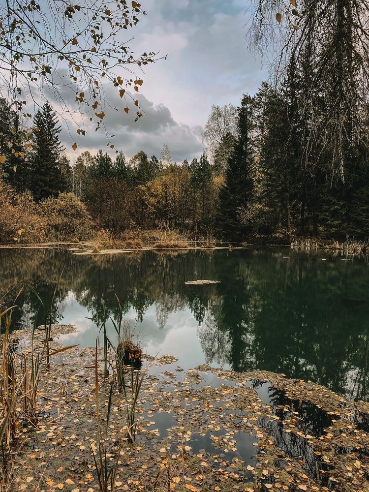 Photograph by Мария Уголькова