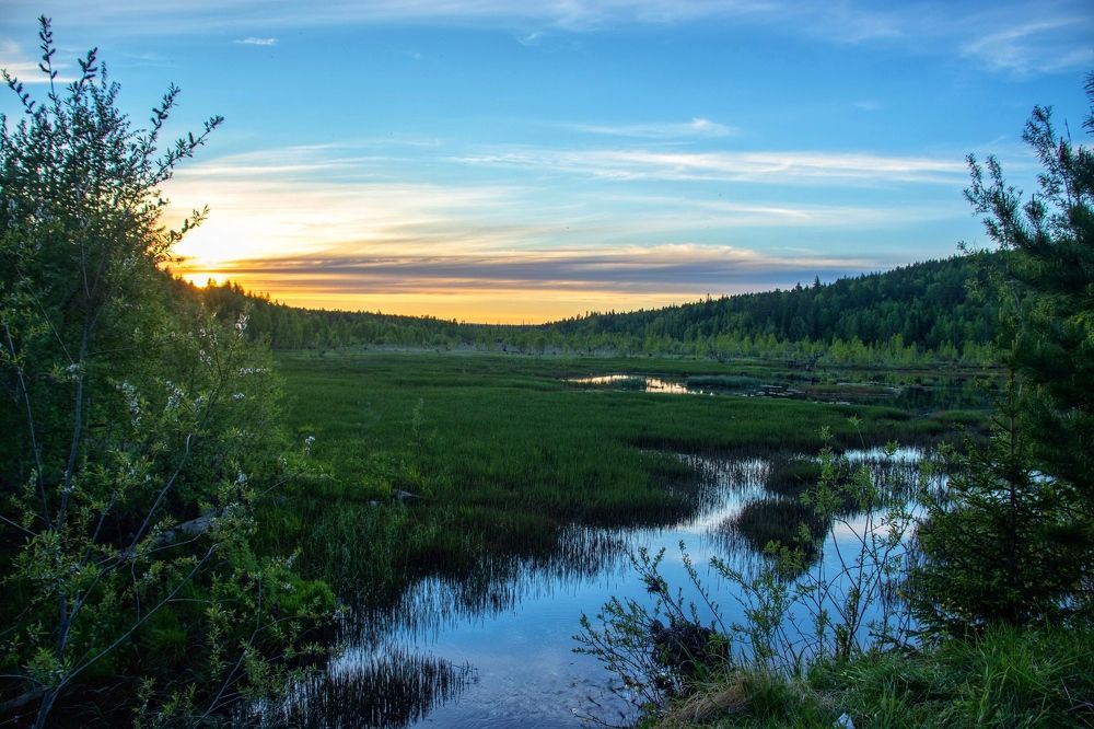 Photograph by Мария Уголькова