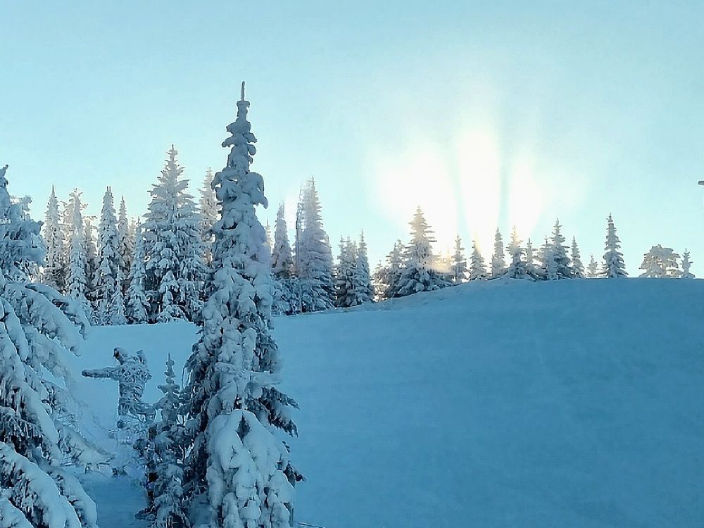 Photograph by Алексей Приешкин