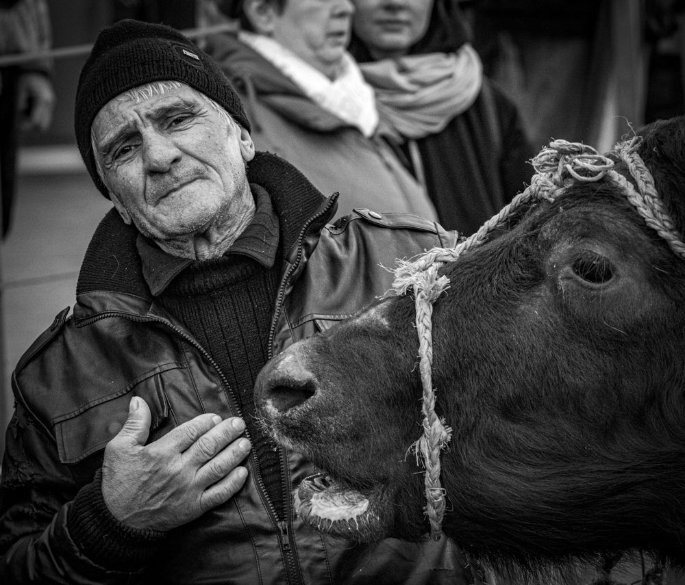 Photograph by Alex Kalpus