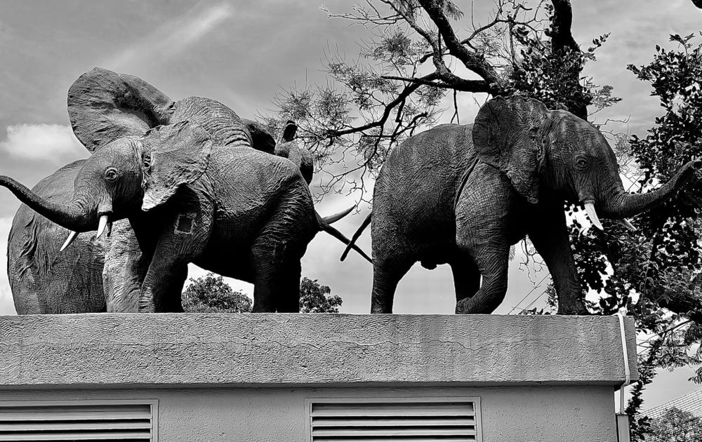 South Africa Pretoria