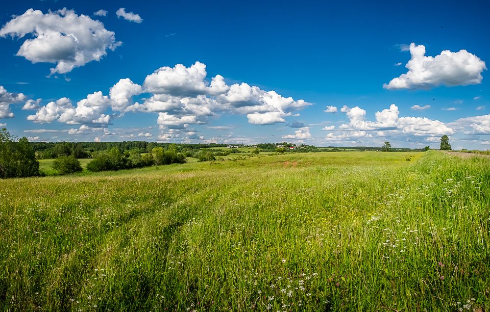 Photograph by Елена Ворошина