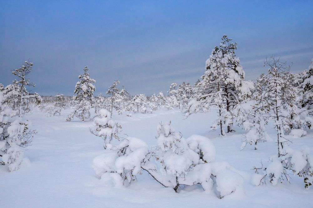 Photograph by Вязникова Анна