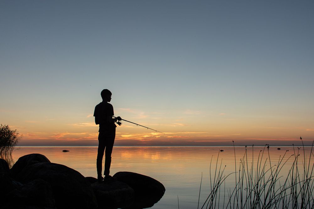 Фотография автора Светлана Дроголюбова