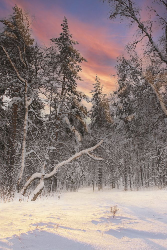 Photograph by Валерий Шорохов