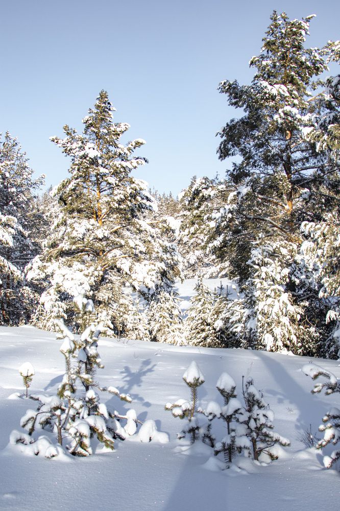 Photograph by Валерий Шорохов