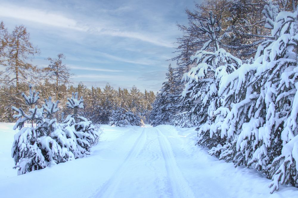 Photograph by Валерий Шорохов