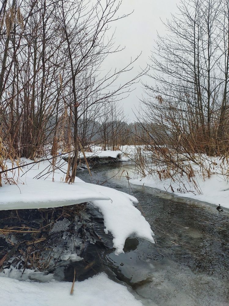 Photograph by Алексей Пилипушко