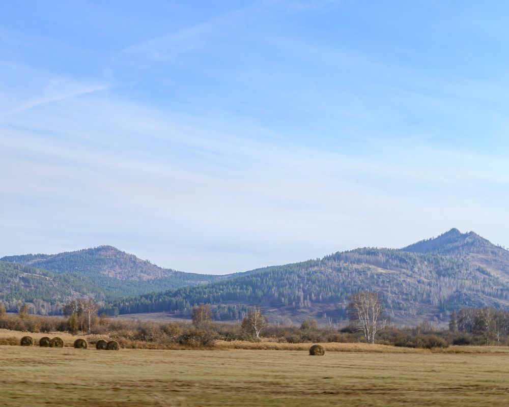 Просторы Казахстанских степей...