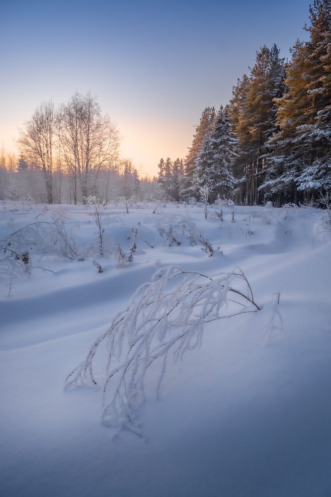 Photograph by Евгений Чикишев