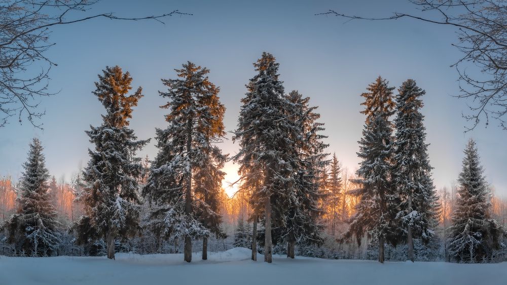 Photograph by Евгений Чикишев