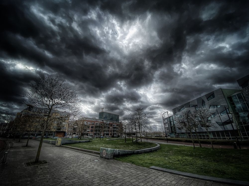 Photograph by Saeed Erfany