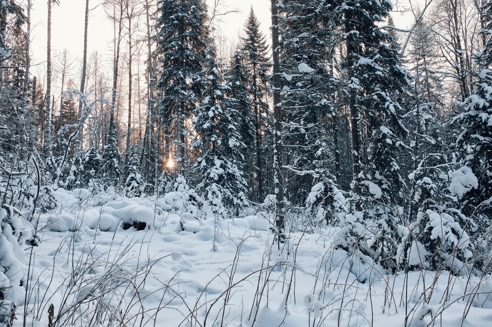 Photograph by Виктор Бабинцев