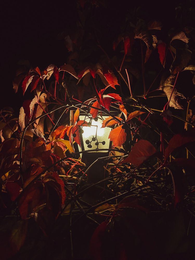 Photograph by Алина Ерехинская