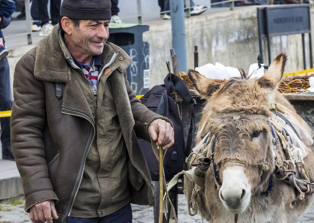 Photograph by Alex Kalpus