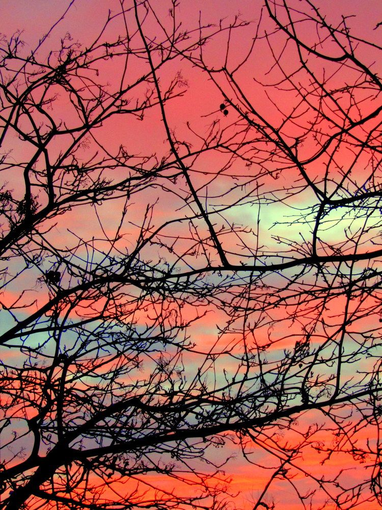 Photograph by Татьяна Смирнова