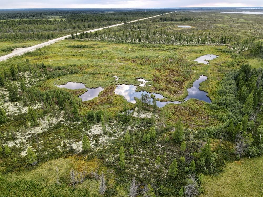 Photograph by Мария Шрейдер