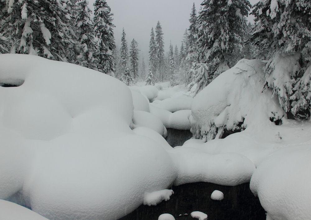 Photograph by Анжелика Иванова