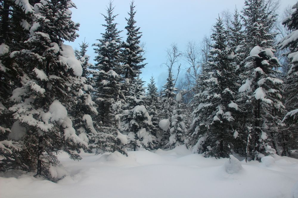 После снежного бурана.